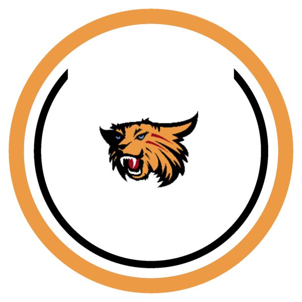 Sport Patch Montview Wilson Logo Thumbnail