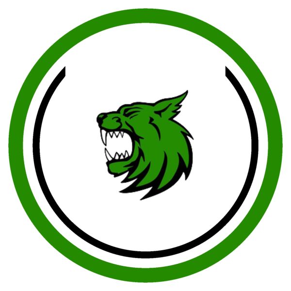 Sport Patch Desert Valley Twentynine Palms Logo Thumbnail