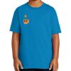 Youth Ultra Cotton ® 100% Cotton T Shirt Thumbnail