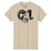 Heavy Cotton™ 100% Cotton T-Shirt Thumbnail