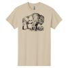 Heavy Cotton™ 100% Cotton T-Shirt Thumbnail