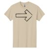 Heavy Cotton™ 100% Cotton T-Shirt Thumbnail