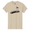Heavy Cotton™ 100% Cotton T-Shirt Thumbnail