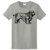 Ladies Ultra Cotton ® 100% Cotton T Shirt Thumbnail