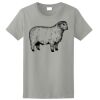 Ladies Ultra Cotton ® 100% Cotton T Shirt Thumbnail