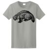 Ladies Ultra Cotton ® 100% Cotton T Shirt Thumbnail